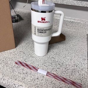 Stanley Mistletoe Twist Quencher 40oz Extra Straws